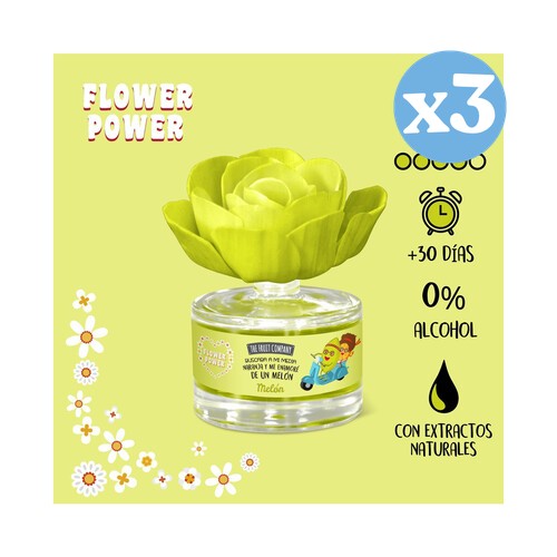 Pack 3x - Flor Perfumada Melon - The Fruit Company - The Fruit Company - 2