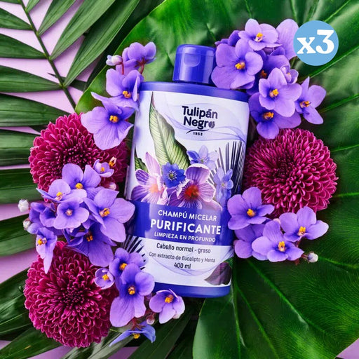 Pack 3x - Champú micelar purificante - Tulipan Negro - 2