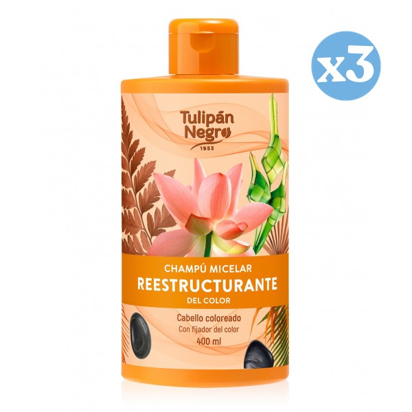 Pack 3x - Champú micelar reestructurante del color - Tulipan Negro - 1
