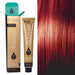 Tinte Tassel Dousse 100ml - Tassel : 6R - RUBIO OSCURO EXTRA ROJO - 1